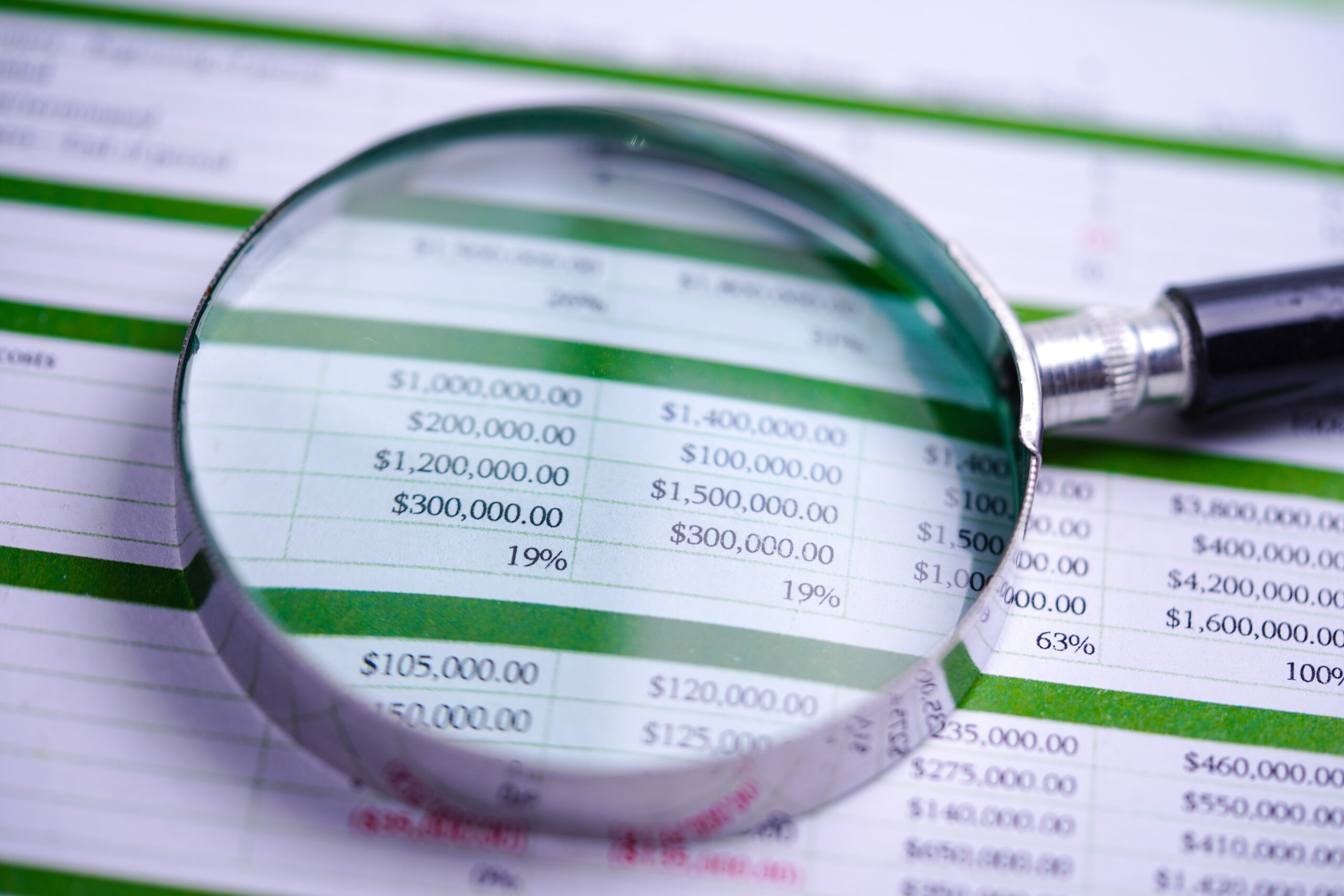 Illustrative financial records representing forensic audit and asset tracing